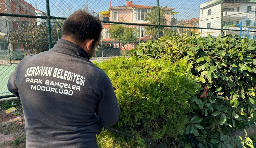 Serdivan'da yeşil alanlar düzenleniyor