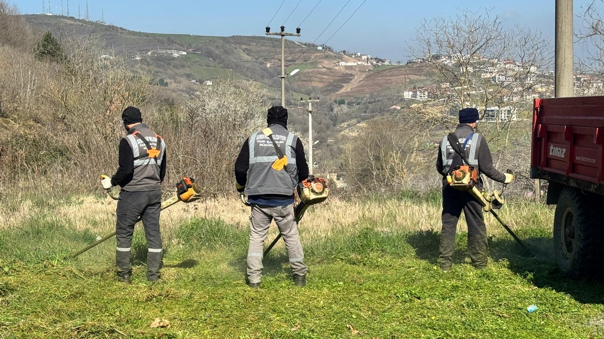 Serdivan’da bahar mesaisi başladı