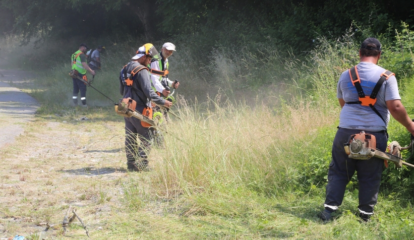 Serdivan’da yabani ot temizliği mesaisi