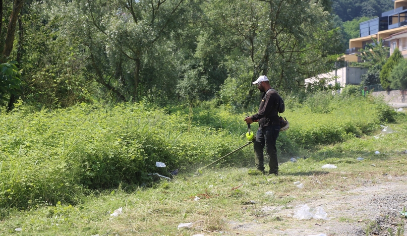 Serdivan’da yabani ot temizliği mesaisi