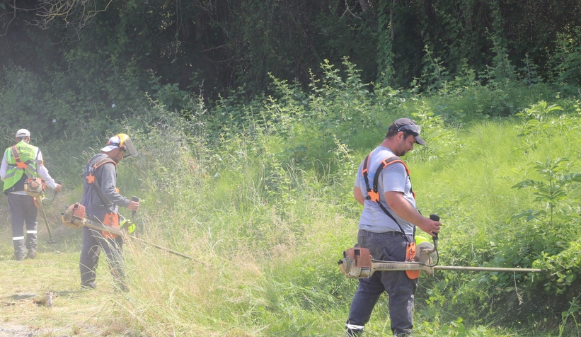 Serdivan’da yabani ot temizliği mesaisi