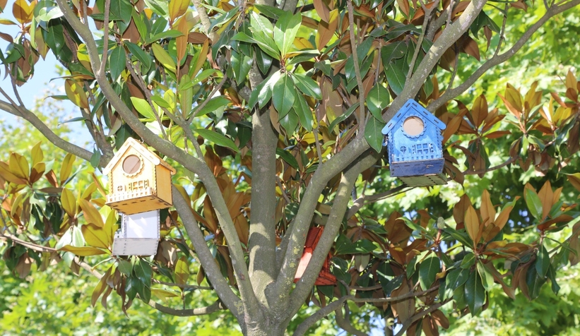 Serdivan’ın parklarını kedi ve kuş evleri süslüyor