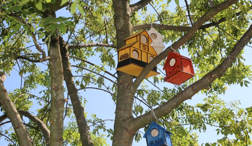 Serdivan’ın parklarını kedi ve kuş evleri süslüyor