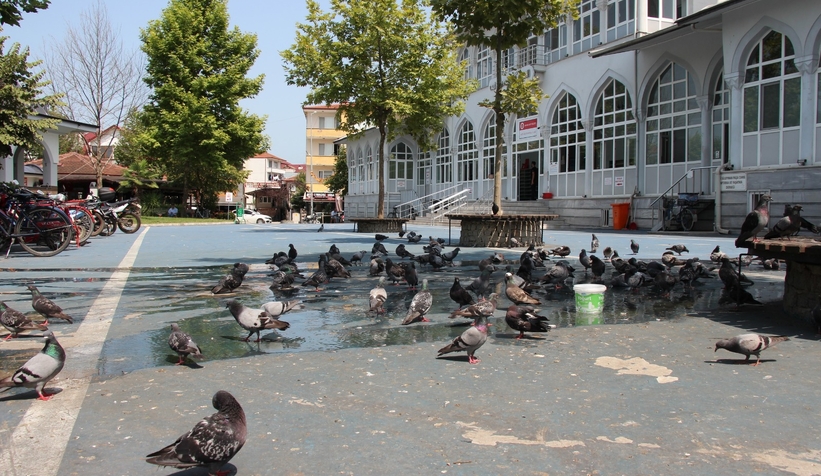 sicakliklar-nedeniyle-cadde-ve-sokaklar-bos-kaldil0jpvg1lq1