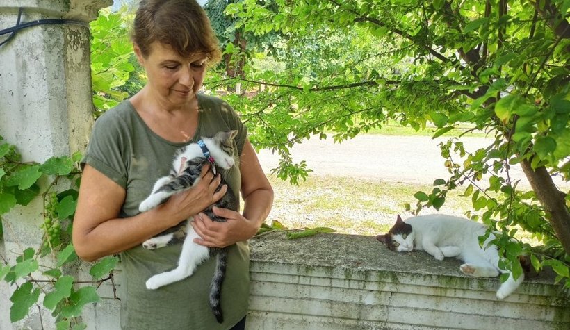 Silahla Sütlacı öldüren caninin bulunmasını istiyor