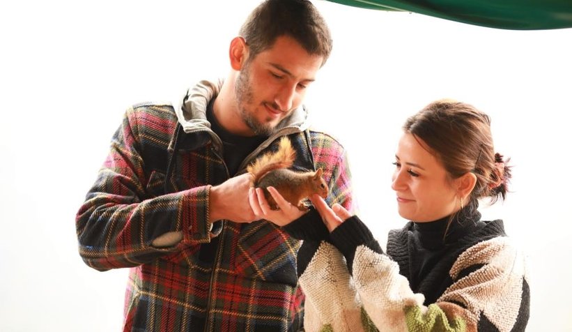 Sincap Alvin çay içiyor, cips yiyor, otomobille geziyor