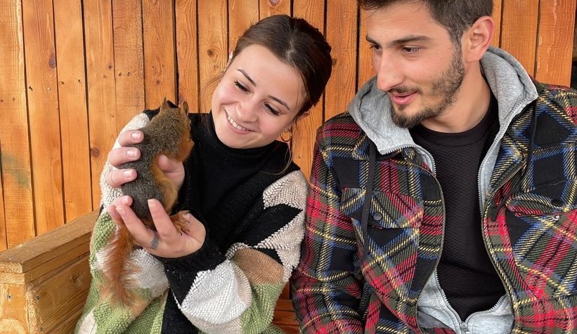 Sincap Alvin çay içiyor, cips yiyor, otomobille geziyor