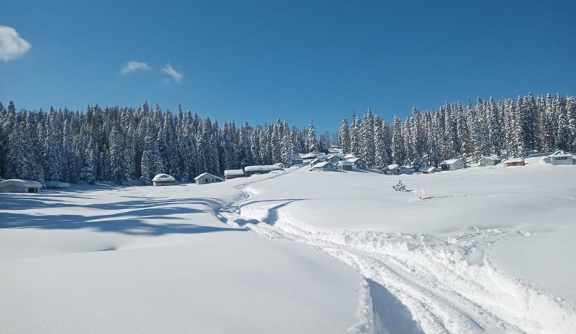 Sinekli Yaylası kara gömüldü