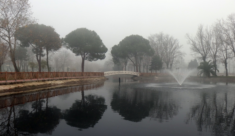  Sis ve doğa buluştu, ortaya eşsiz manzaralar çıktı