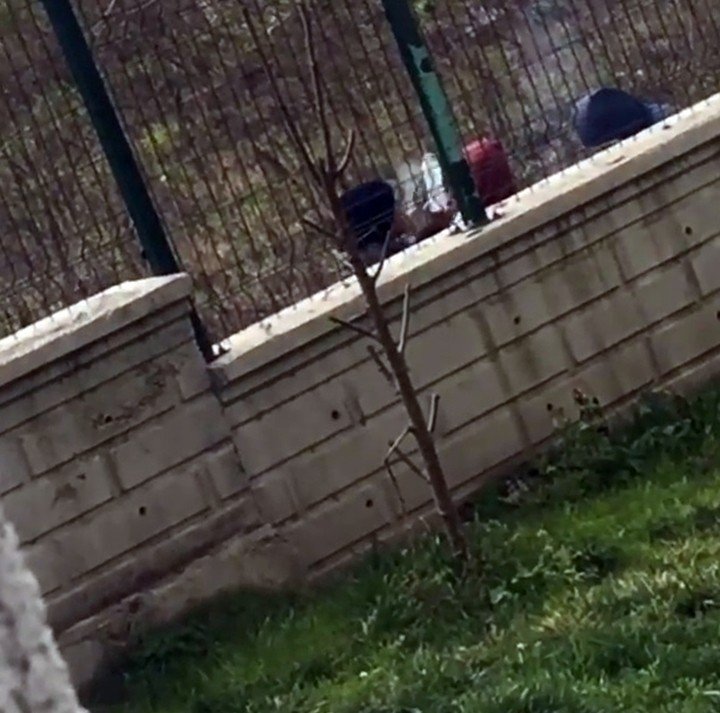 Skandal görüntüler sonrası polis harekete geçti
