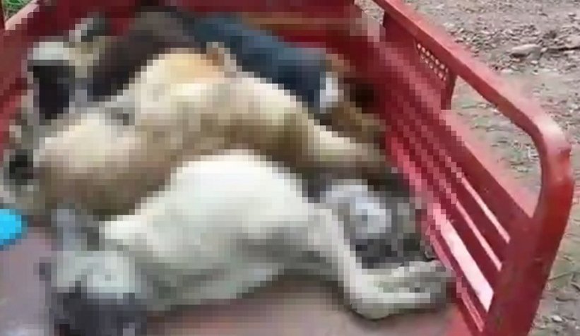 Skandal sonrası 3 kişi açığa alındı