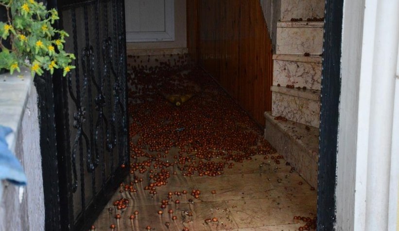 Sobaya atılan fındık kabukları, evi kül ediyordu