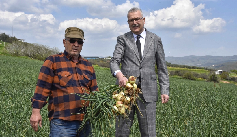 Soğan fiyatları bayramdan sonra düşecek