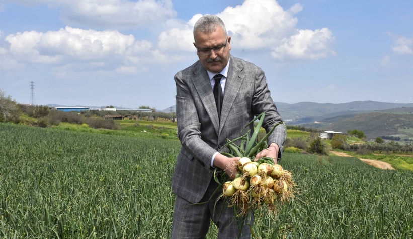 Soğan fiyatları bayramdan sonra düşecek