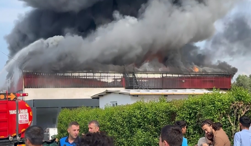 Soğuk hava deposunda yangın 