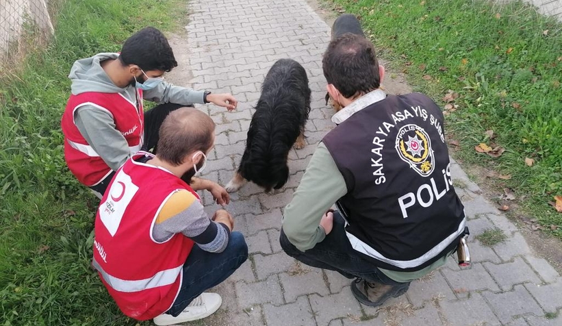 sokak-hayvanlari-icin-seferber-oldulartglhdmiyed