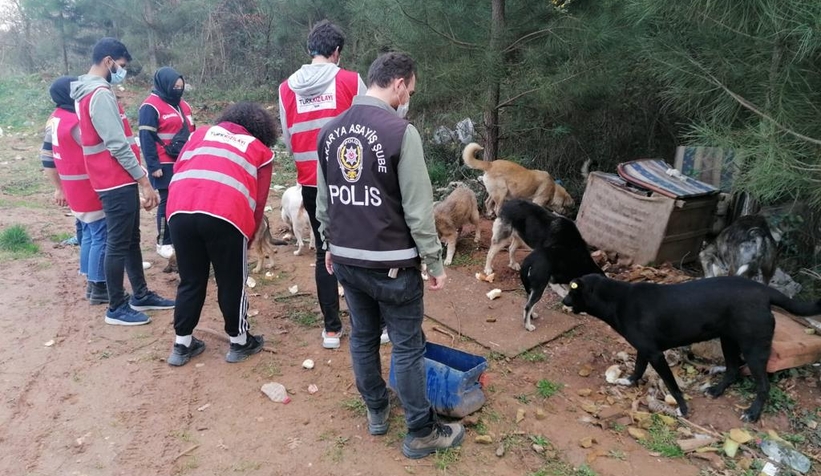 sokak-hayvanlari-icin-seferber-oldulartglhdmiyed