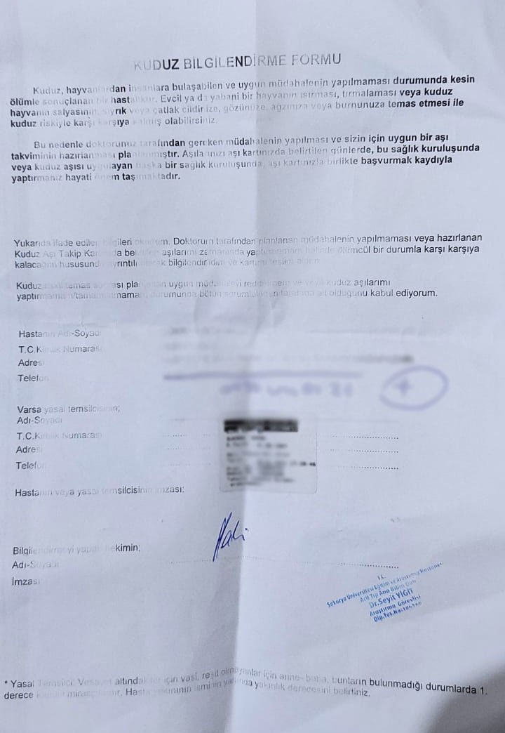 Sokak köpekleri kadına saldırdı