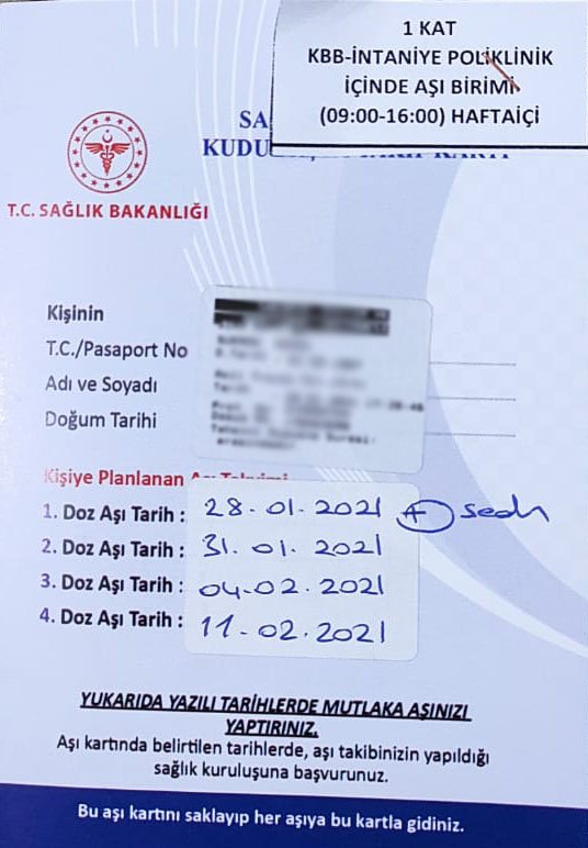 Sokak köpekleri kadına saldırdı