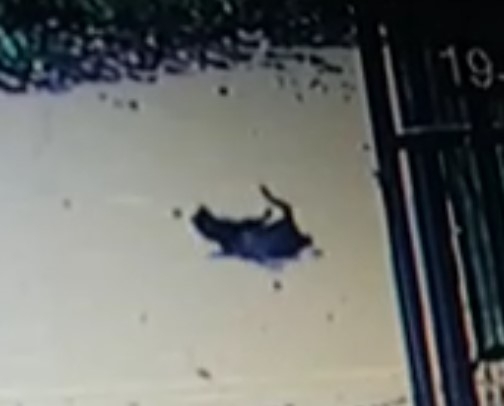 Sokakta yavru kediyi ezip kaçtı