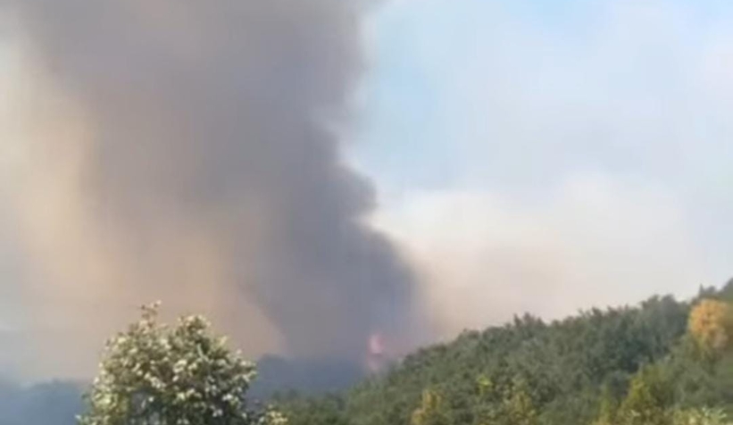  Hendek’te Orman Yangını!