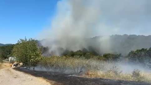  Hendek’te Orman Yangını!