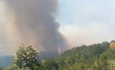  Hendek’te Orman Yangını!