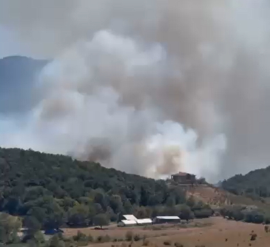  Hendek’te Orman Yangını!