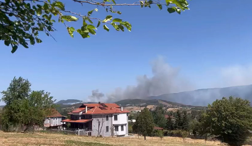  Hendek’te Orman Yangını!