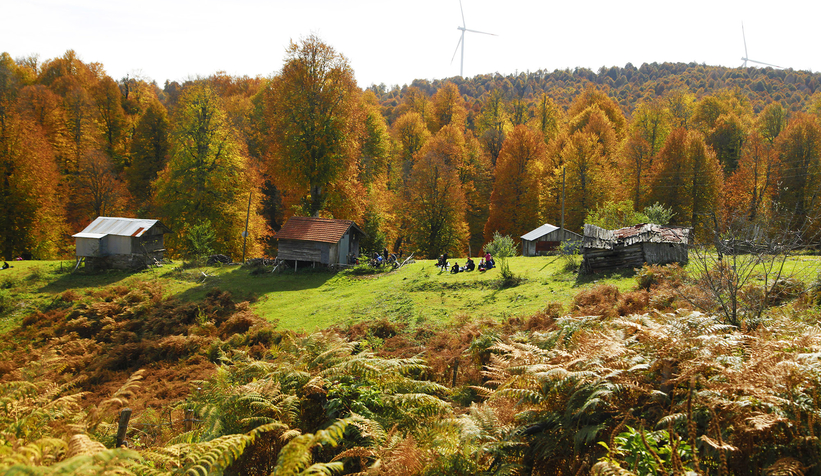Sonbaharın büyüleyici yüzü