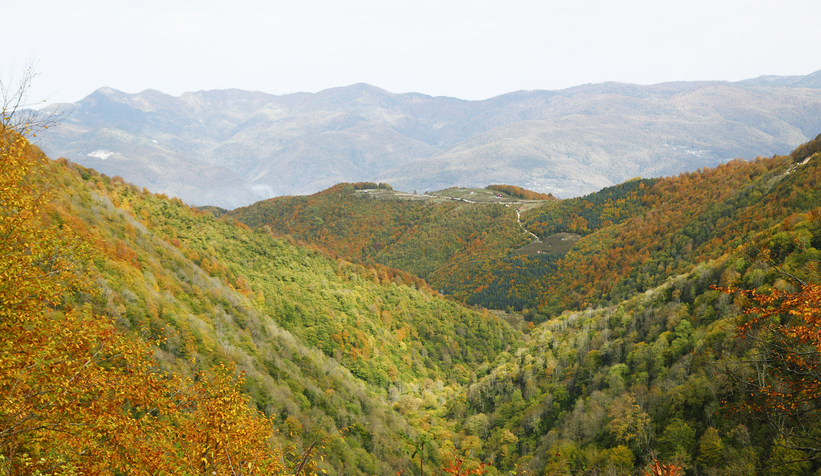 Sonbaharın büyüleyici yüzü