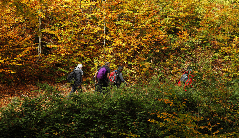 Sonbaharın büyüleyici yüzü