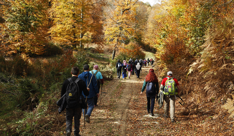 Sonbaharın büyüleyici yüzü
