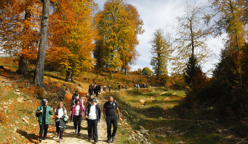 Sonbaharın büyüleyici yüzü