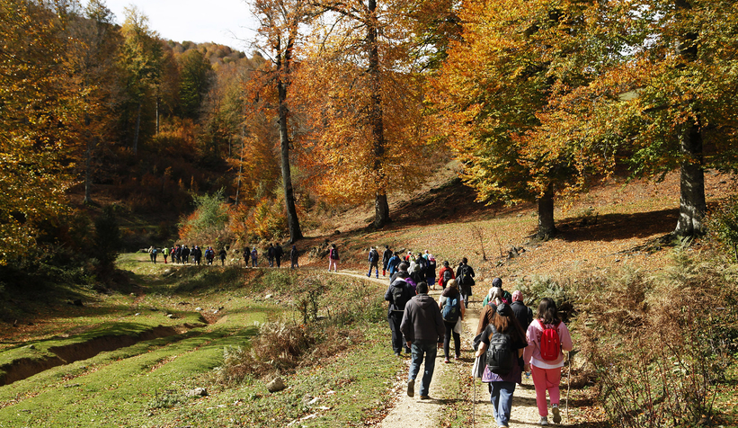 Sonbaharın büyüleyici yüzü