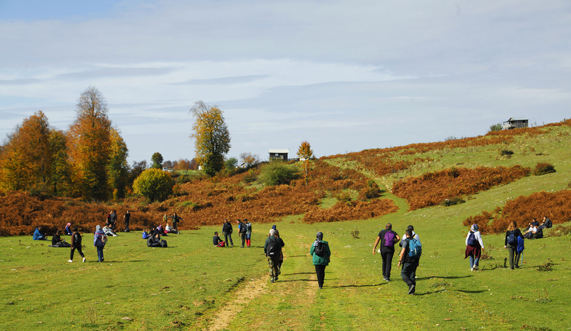 Sonbaharın büyüleyici yüzü