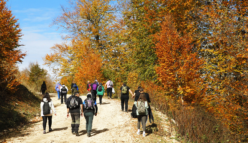 Sonbaharın büyüleyici yüzü