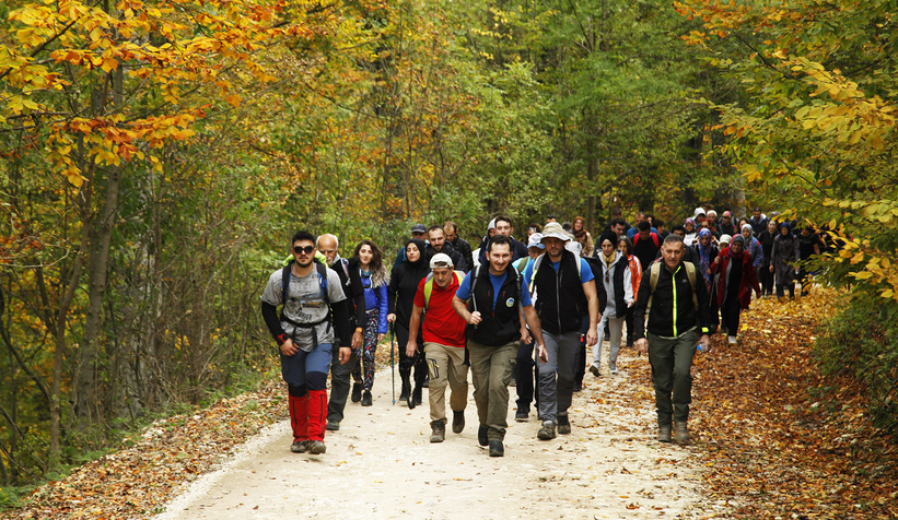 Sonbaharın büyüleyici yüzü