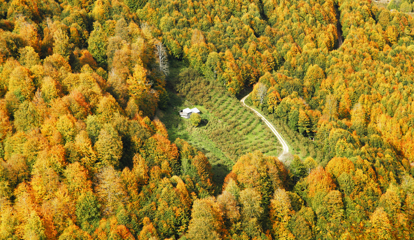 Sonbaharın büyüleyici yüzü