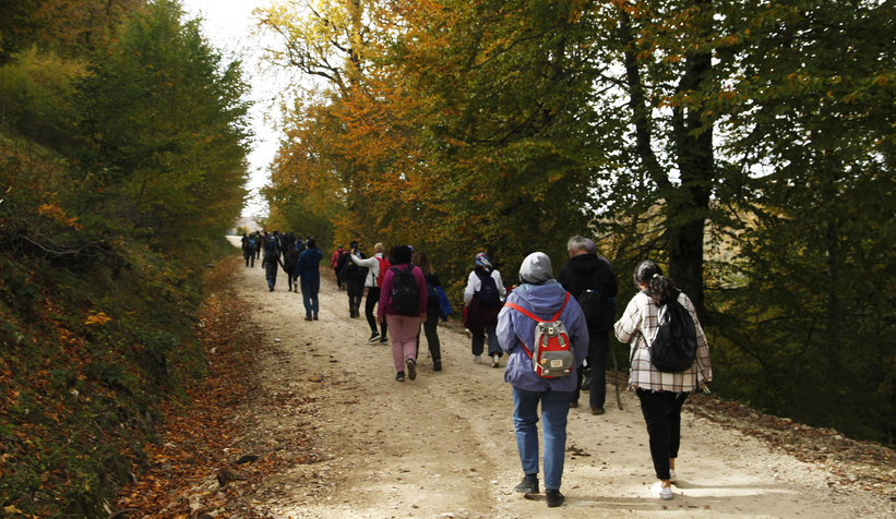 Sonbaharın büyüleyici yüzü