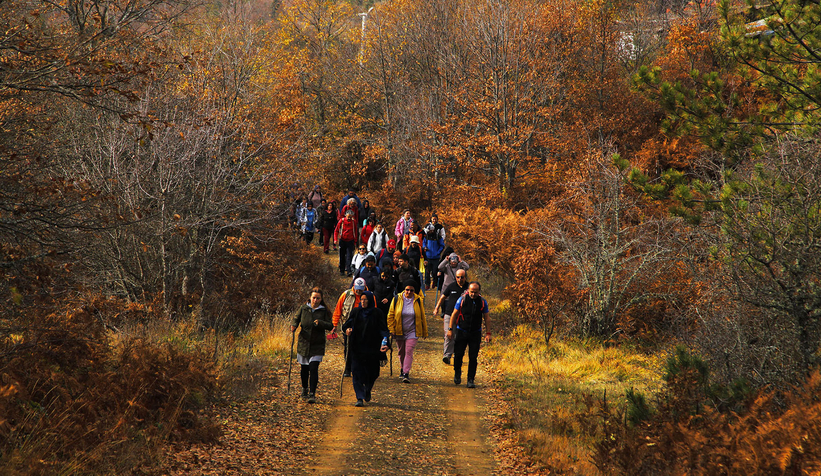 Sonbaharın her tonunu Büyükşehir'le keşfettiler