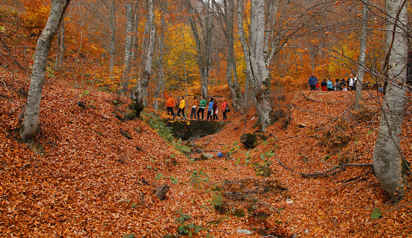 Sonbaharın her tonunu Büyükşehir'le keşfettiler