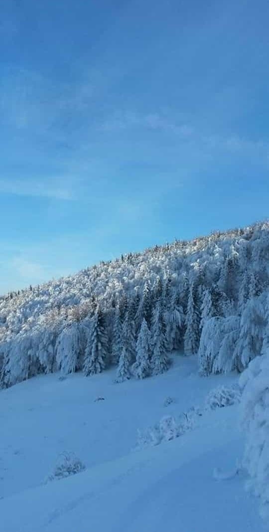 sultanpinar-yaylasinda-kar-kalinligi-60-cm-buldubgrjbtf3eu