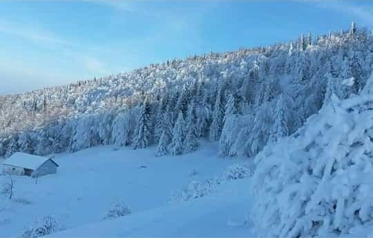 sultanpinar-yaylasinda-kar-kalinligi-60-cm-buldubgrjbtf3eu