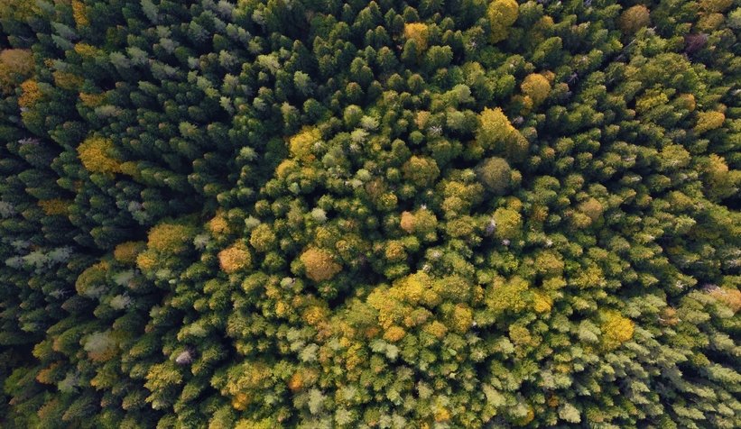 Sülüklü Göl’ün havadan görüntüsü mest etti