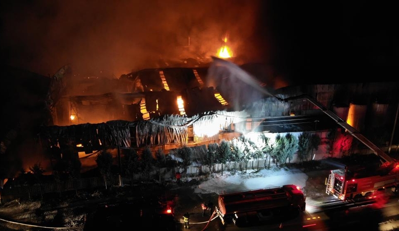 Sünger fabrikası yandı