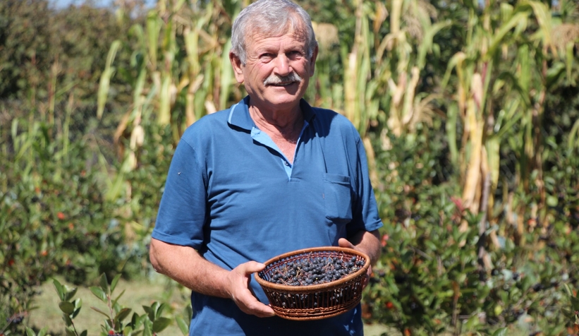 Süper meyve'nin kilosu 400 lira, talebe yetişemiyor