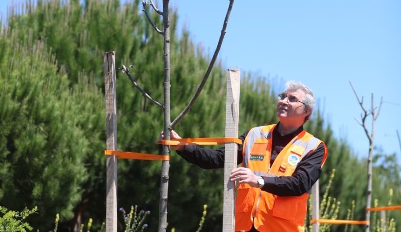 Susam ve Çörek Otu ekti