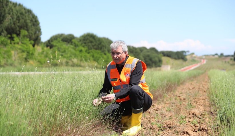 Susam ve Çörek Otu ekti