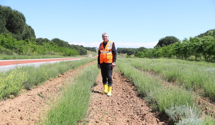 Susam ve Çörek Otu ekti